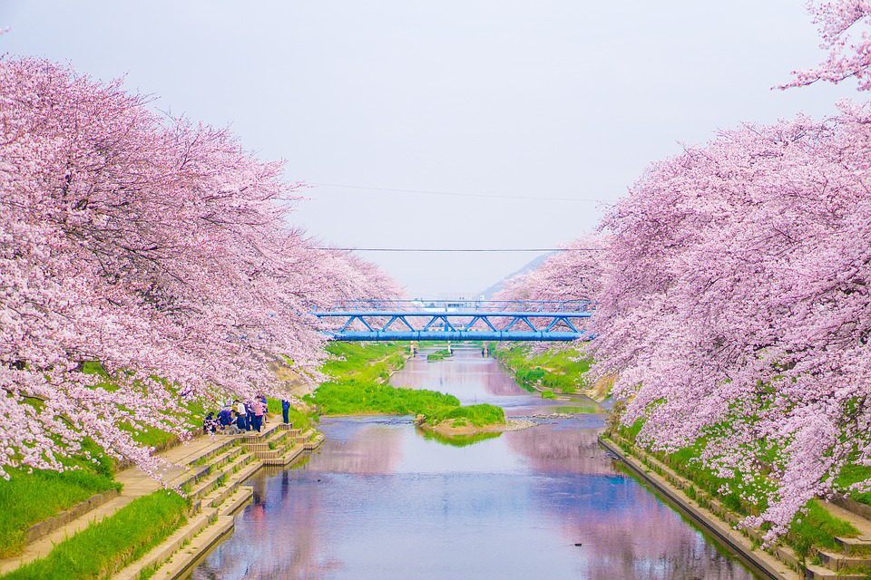 2020日本板桥城市马拉松