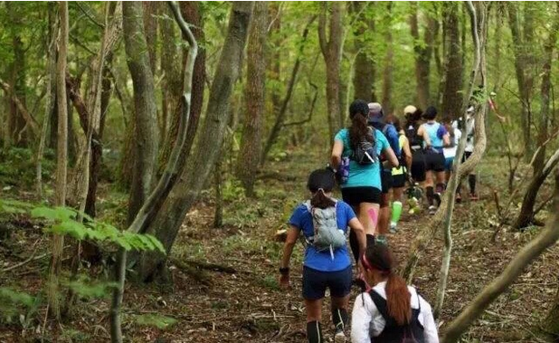 2018（10.20）TRANS JEJU100环济州岛越野赛