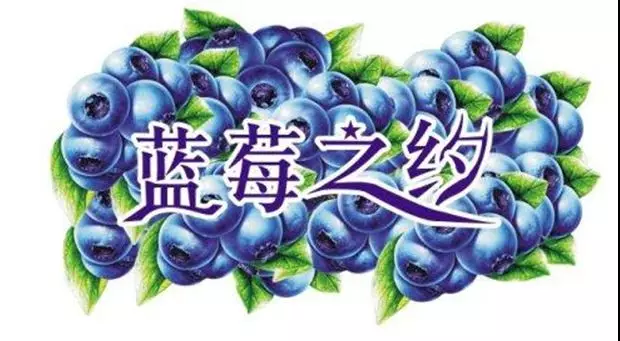 2019贵州黔东南.麻江第四届蓝莓山地半程马拉松赛