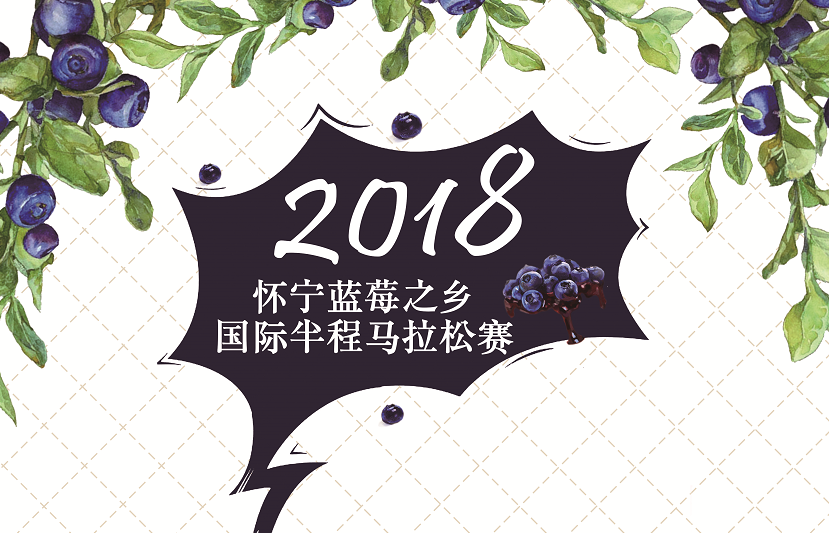 2018怀宁蓝莓之乡国际半程马拉松