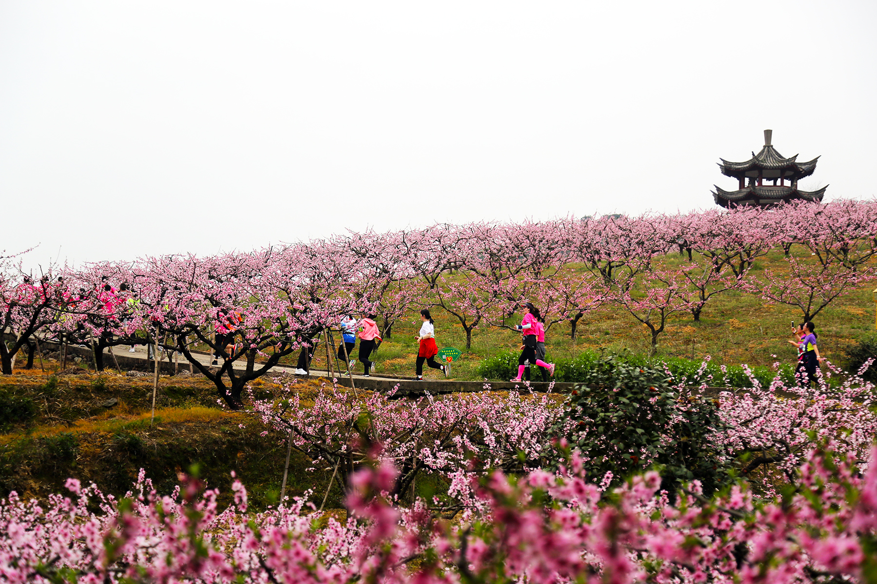 2019中国奉化海峡两岸桃花马拉松赛